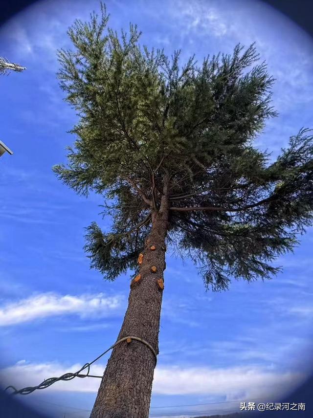 雄安新区：那些改名留下的遗憾