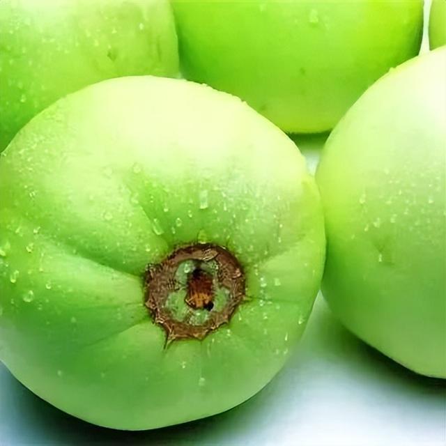 【畅游双城】‖胜利的出发地——福运双城（成）