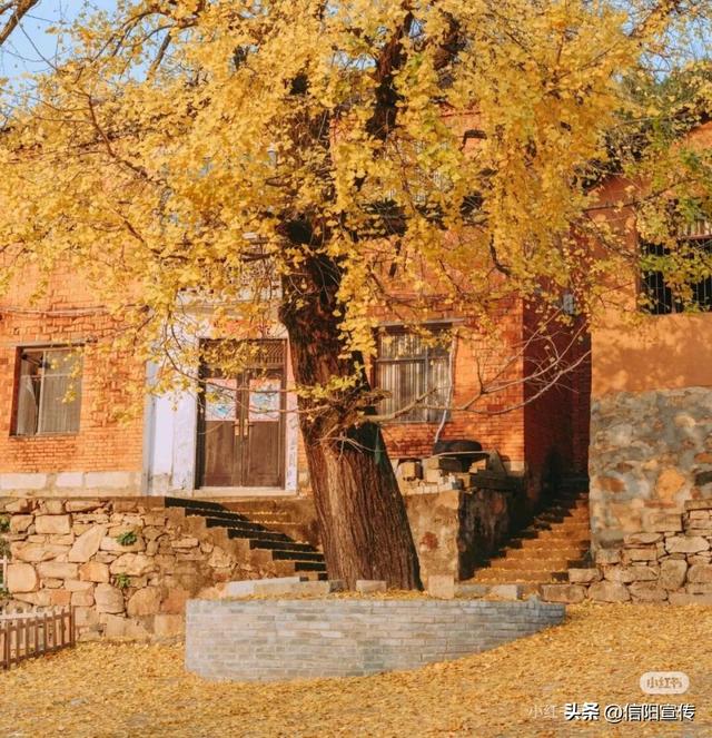 冬日信阳，独具魅力！