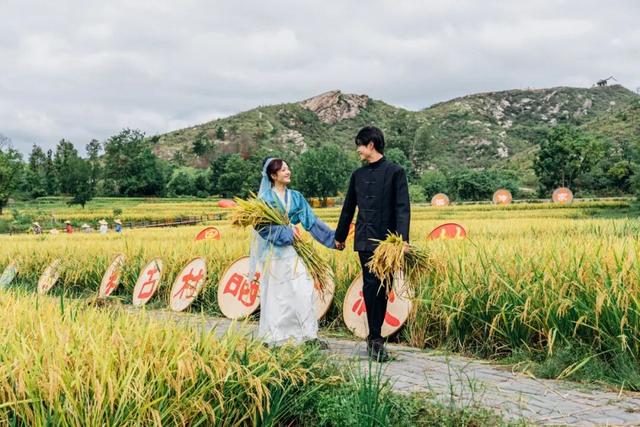 剧组扎堆！黄陂这座600岁古村，晒秋现场秒变短剧片场