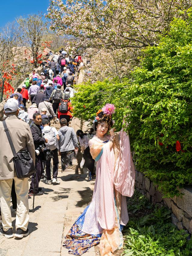海棠花与汉服佳人的泰山之约