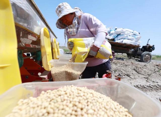 为大豆放低身段，美国公开表示：若中国需要大豆，希望先找美国