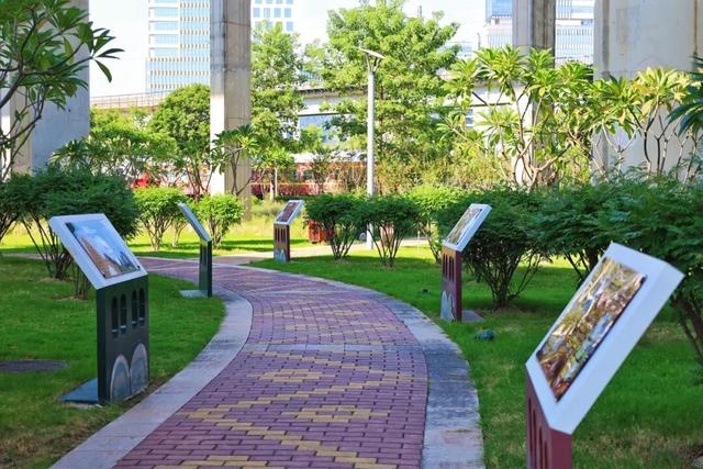 三条高铁并行！桥下还有“宝藏”，等你发现！