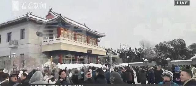 聂卫平葬礼红衣女子被全网指责？背后内情揭开，我看哭了