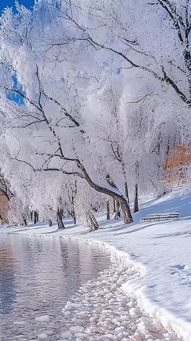 不是想念雪，是想念有你的冬天