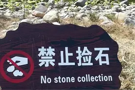 泰山石禁售五年，仍有网友问哪里能买到真泰山石图片