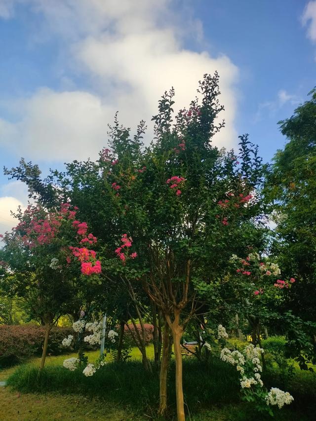 引潮河藏着诗意和美好