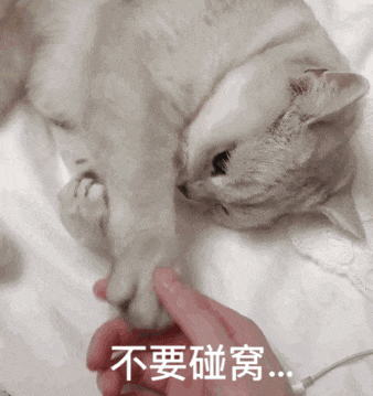 #健康素养提升V计划# 【#人流#只需要几分钟，然后发生了什么？】