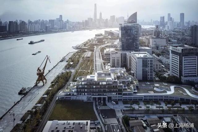 强推！这三条Citywalk路线带你畅游复兴岛和杨浦滨江