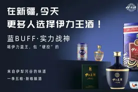 伊力王酒的“王炸”：蓝王如何用“13116”破局千亿高端市场图片