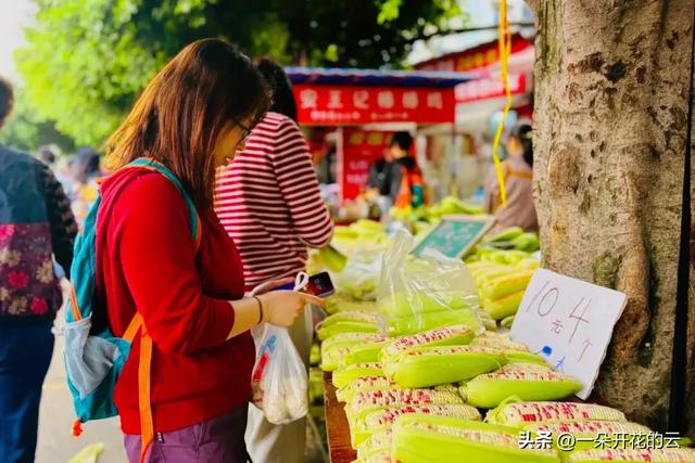 成都“最高级买手店”藏在立交桥下：银杏叶是顶棚，生活是爆款