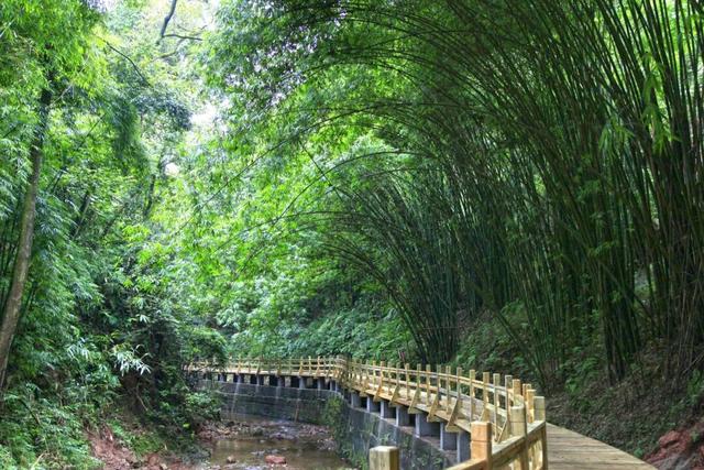 成都适合带一家人去的6个登高好去处推荐！