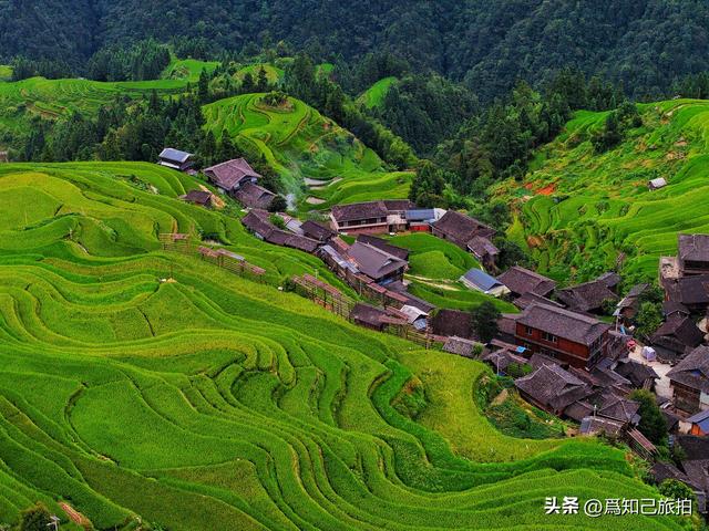 加榜梯田真的被震撼到了 独特的地貌令人叹为观止