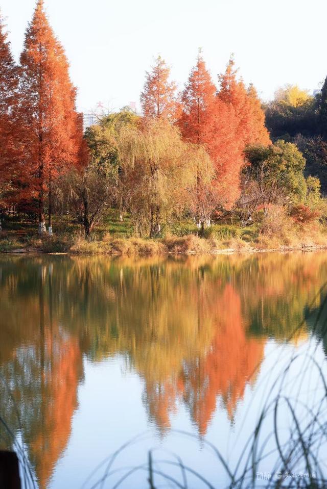 冬日暖阳下，打卡贵阳观山湖公园的绝美风景