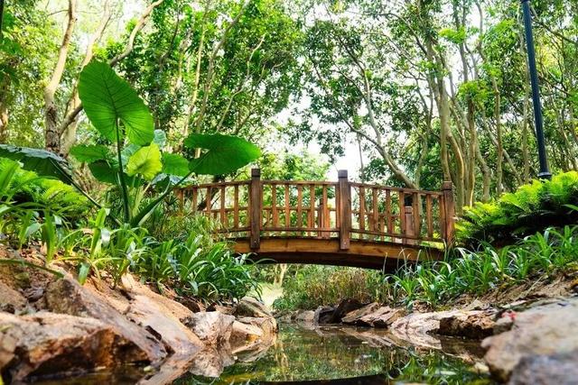 珠海5000年沙丘遗址秘境，免费开放！