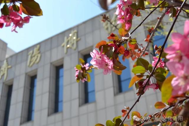 免费开放！济阳区博物馆参观全攻略，周末遛娃好去处！