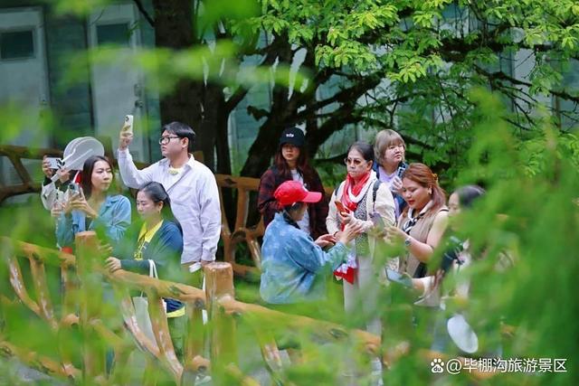 执清凉为笔！泰国百商团走进毕棚沟，共绘山水长卷！