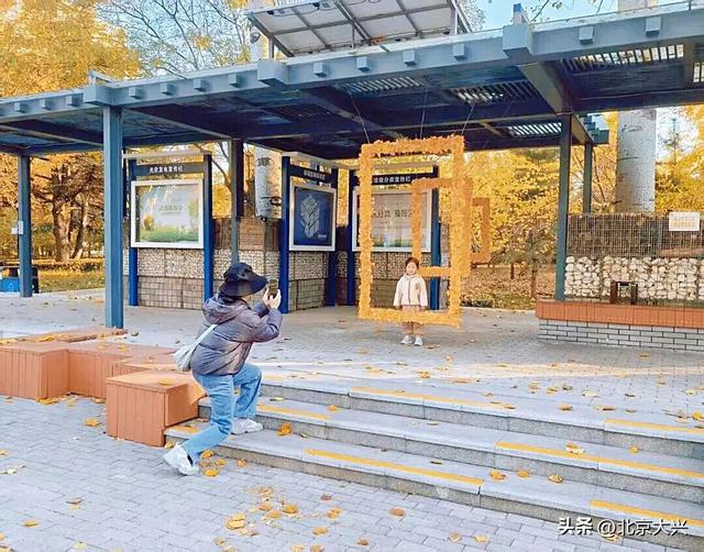 来这里，定格美景，把最后的秋色“框”回家——