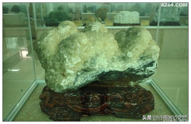 山东行游影记（31）—平邑天宇自然博物馆（六）