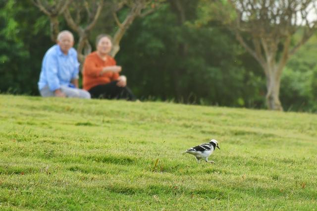 跟着十五运游深圳 | 从热血赛场，一脚踏进千年古城的光阴副本~