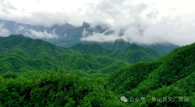 河南有个“宝藏小县”，102万人的家乡，藏着半个中国的惊艳