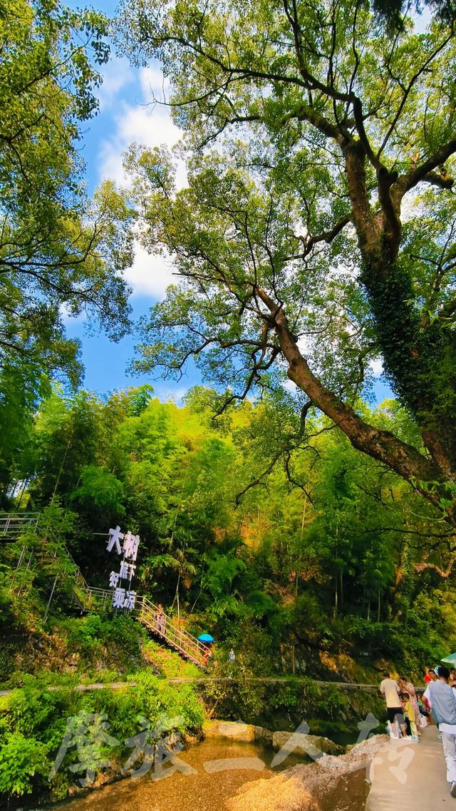 皖浙摩旅二人转——芹川古村篇