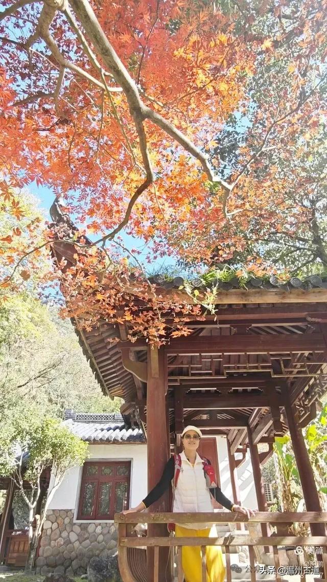 踏秋胜地,天脊龙门!浙江这个4A级景区已美成童话,等你来打卡