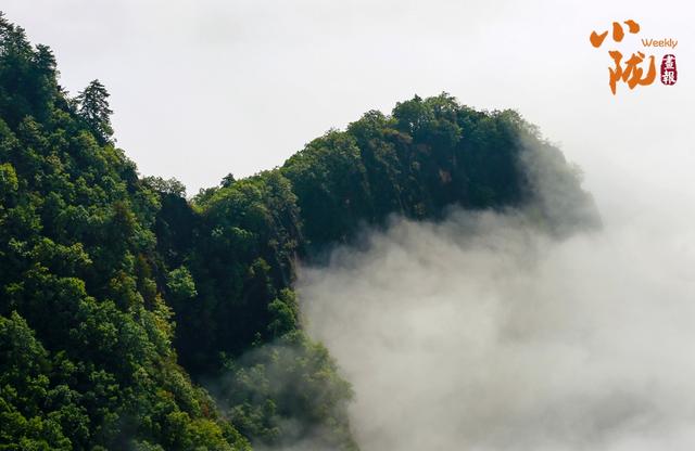 【小陇画报·399期】平凉：雨后崆峒山 云海入画来