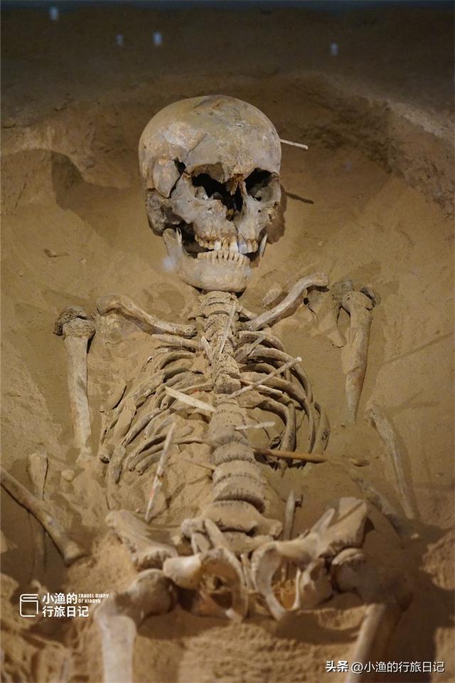 第一次逛博物馆被吓到！7000年前少女，遭百人残害，历史真相为何
