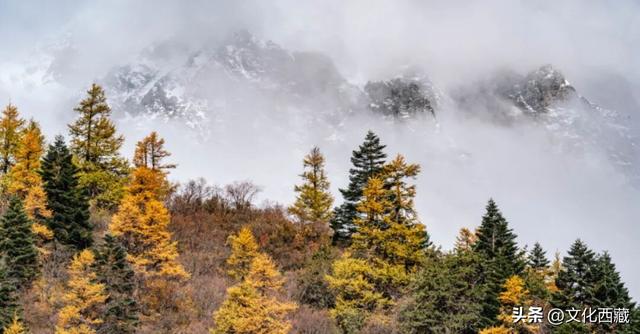 《奔跑吧》打卡西藏这个地方！明星同款旅游全攻略来了~