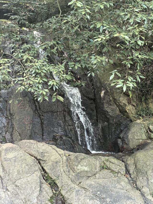 浙江湖州市德清县莫干山国家级风景名胜区游记（上）