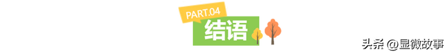 当Zoo Walk成为都市爆款 ，当代年轻人从“萌物”中寻求疗愈