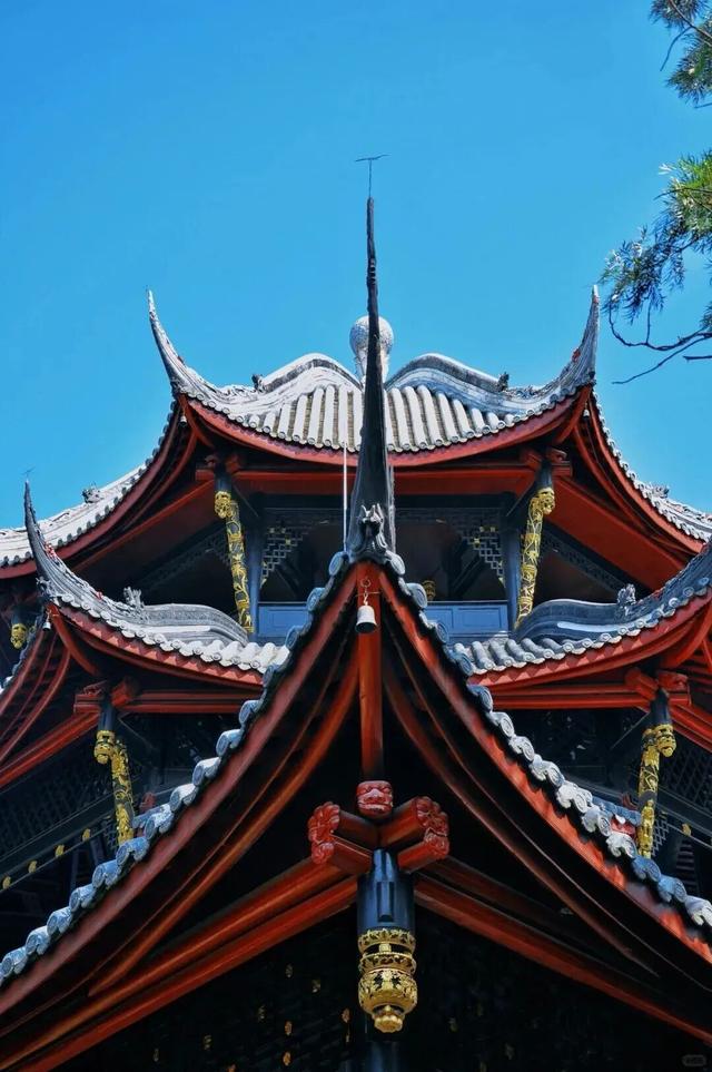 不用急，不用赶，来纯阳观拾起冬日慢时光