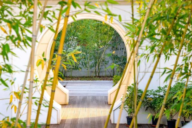 从从容容游刃有余!把江南的秋天“搬进”石景山——