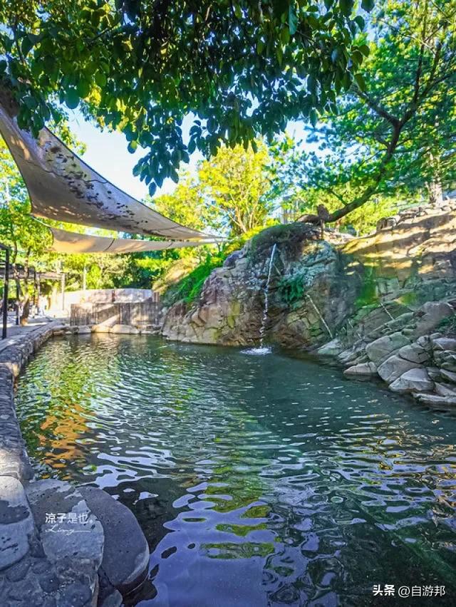 春水堂創辦人打造結合山林美食、茶文化足浴，夏天還有戲水池