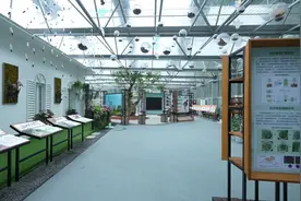 广东着力推动自然教育高质量发展图片