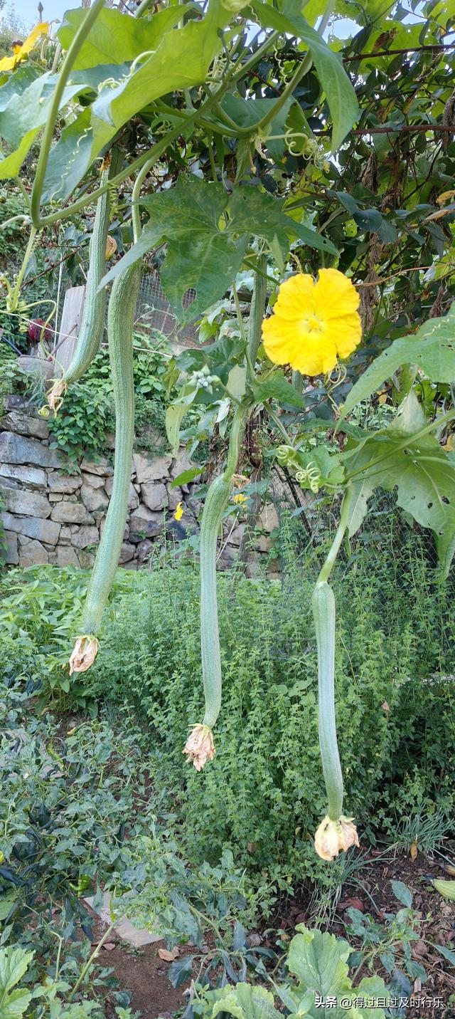 婺源游记-01慢品人间烟火