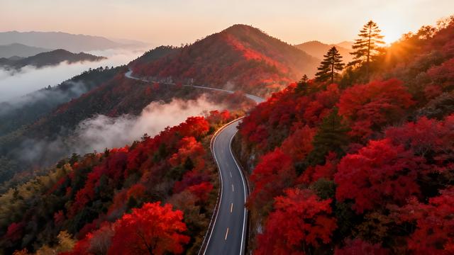 丹枫醉染千嶂赤，溪山岁稔入画来 —— 浙江宁波四明山秋韵漫笔