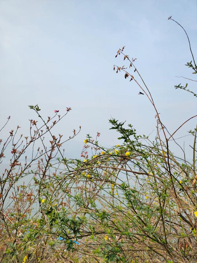 屈原故里（2021.3.15 宜昌·秭归）