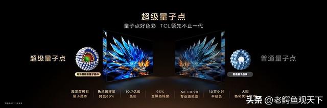 全球显示技术竞赛迎来中国答案 TCL SQD-MiniLED全局高色域征服行业