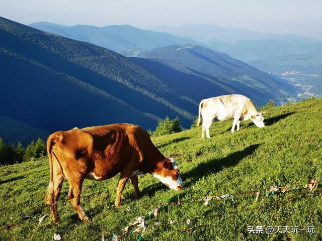 七言诗 生活之旅