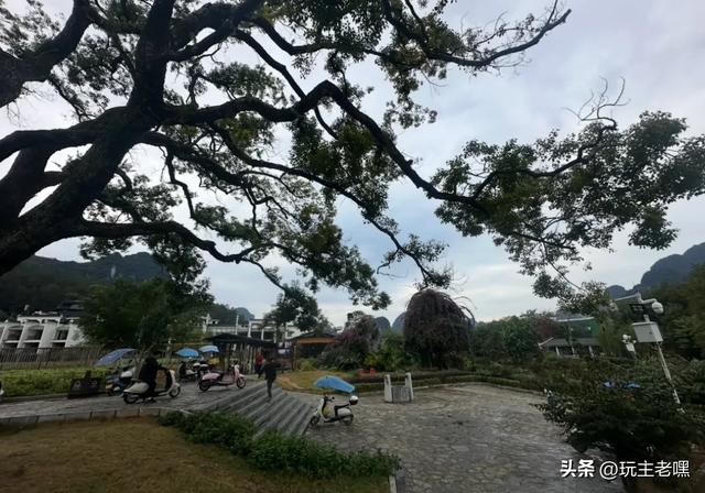 两广避寒10，鸡窝渡