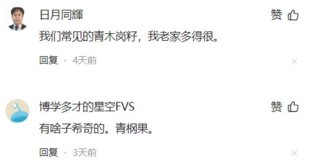 首次发现仅3株	，25年云南又发现2株，网友：不稀奇，老家遍地都是