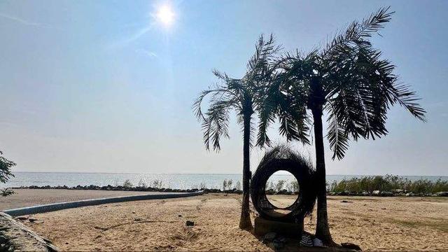 从腥臭蓝藻湖到网红打卡地：巢湖二十年逆袭藏着啥密码？