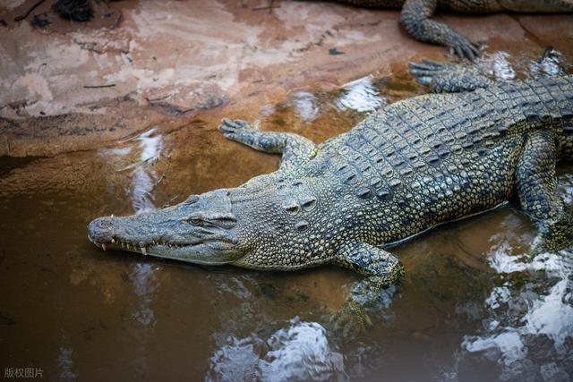 海口旅游，推荐海口10个必打卡的景点，治愈系的海滨城市，超好玩