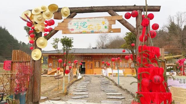 三场大戏+五大活动，宁强元旦狂欢倒计时！