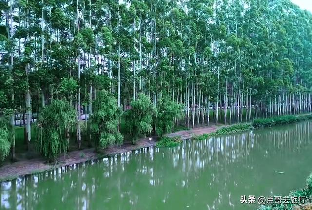 成都超级冷门公园，被称为“小西湖”，不要门票，地铁公交直达！