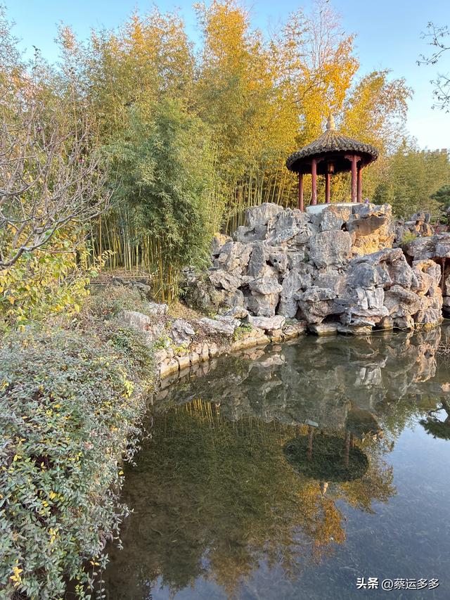 沪上园林古猗园已达颜值巅峰