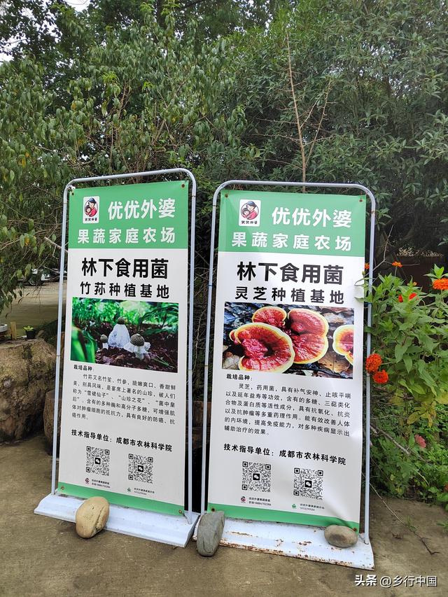 国庆中秋七天乐：到双流优优外婆农场过一个超治愈有温度田园假期