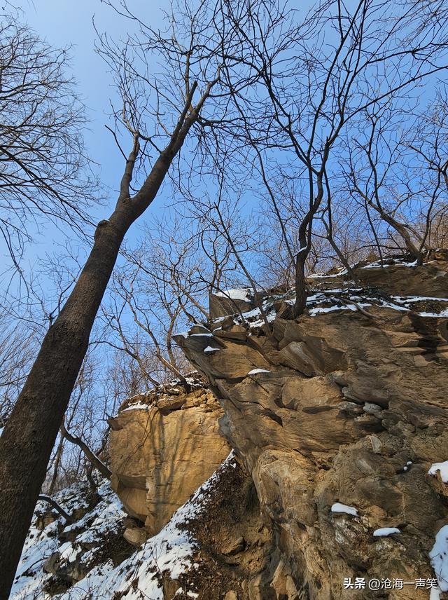 雪山雪地雪景，美树美影美景，蓝天如野美景如画，一切尽在不言中